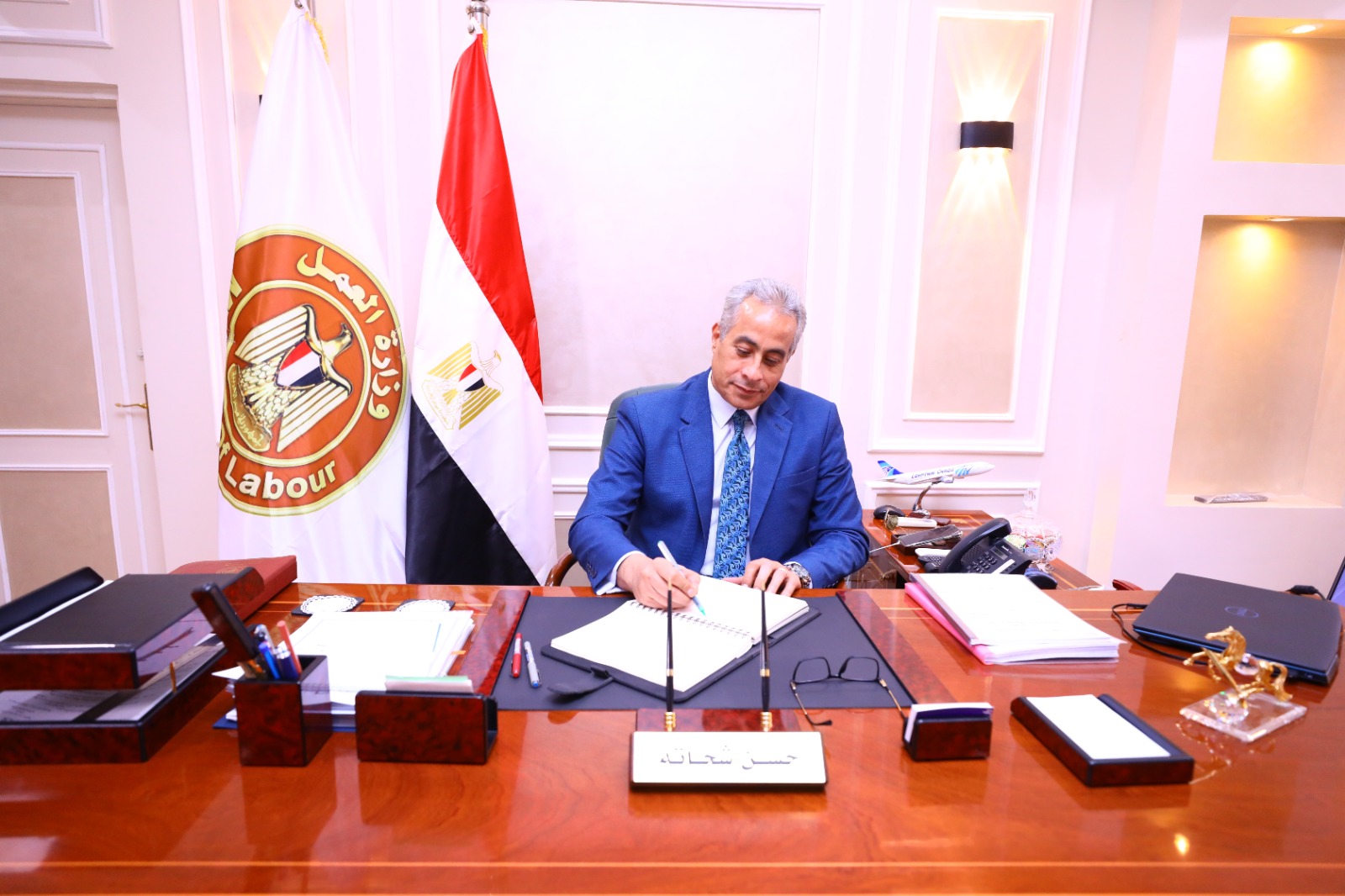 وزير القوى العامله 